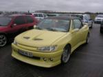 Peugeot 306 Lemon Pulp 1